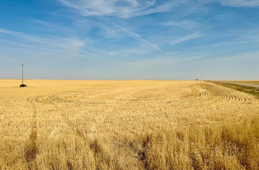 Rural Address, Miry Creek Rm No. 229, Saskatchewan S0N 2L0, ,Farm,For Sale,Shackleton 1,941 acres Grain Farmland (Northeast),Rural Address,SK983901