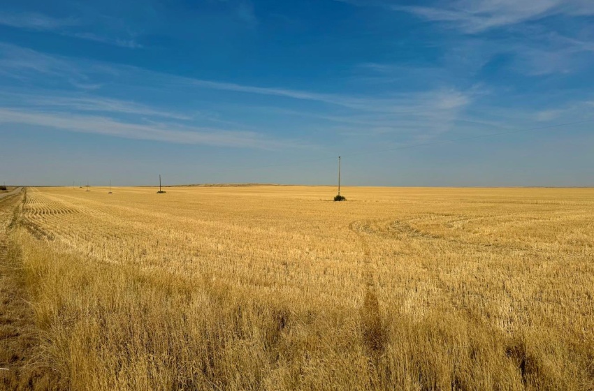 Rural Address, Miry Creek Rm No. 229, Saskatchewan S0N 2L0, ,Farm,For Sale,Shackleton 1,941 acres Grain Farmland (Northeast),Rural Address,SK983901