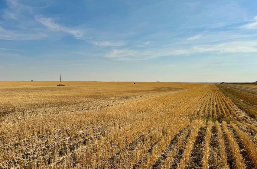 Rural Address, Miry Creek Rm No. 229, Saskatchewan S0N 2L0, ,Farm,For Sale,Shackleton 1,941 acres Grain Farmland (Northeast),Rural Address,SK983901