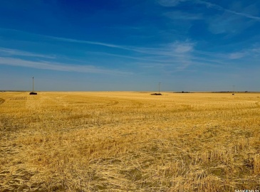 Rural Address, Miry Creek Rm No. 229, Saskatchewan S0N 2L0, ,Farm,For Sale,Shackleton 1,941 acres Grain Farmland (Northeast),Rural Address,SK983901