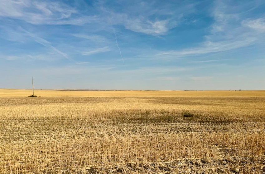 Rural Address, Miry Creek Rm No. 229, Saskatchewan S0N 2L0, ,Farm,For Sale,Shackleton 1,941 acres Grain Farmland (Northeast),Rural Address,SK983901