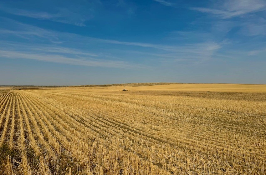 Rural Address, Miry Creek Rm No. 229, Saskatchewan S0N 2L0, ,Farm,For Sale,Shackleton 1,941 acres Grain Farmland (Northeast),Rural Address,SK983901