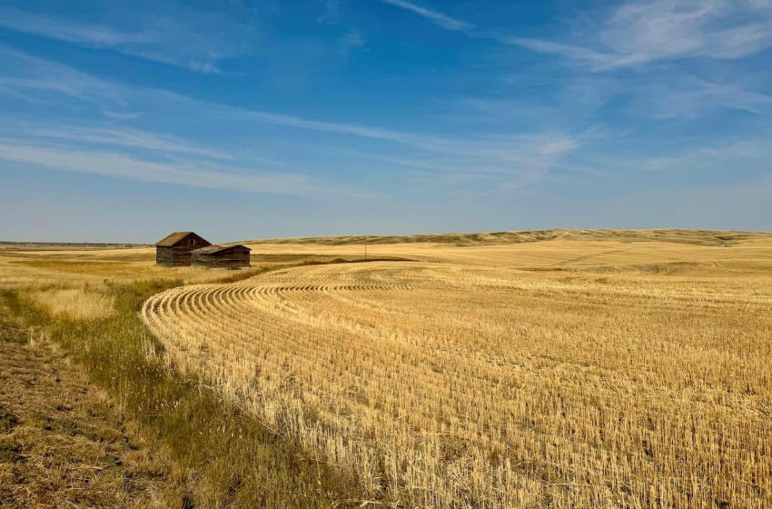 Rural Address, Miry Creek Rm No. 229, Saskatchewan S0N 2L0, ,Farm,For Sale,Shackleton 1,941 acres Grain Farmland (Northeast),Rural Address,SK983901