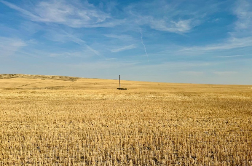 Rural Address, Miry Creek Rm No. 229, Saskatchewan S0N 2L0, ,Farm,For Sale,Shackleton 1,941 acres Grain Farmland (Northeast),Rural Address,SK983901