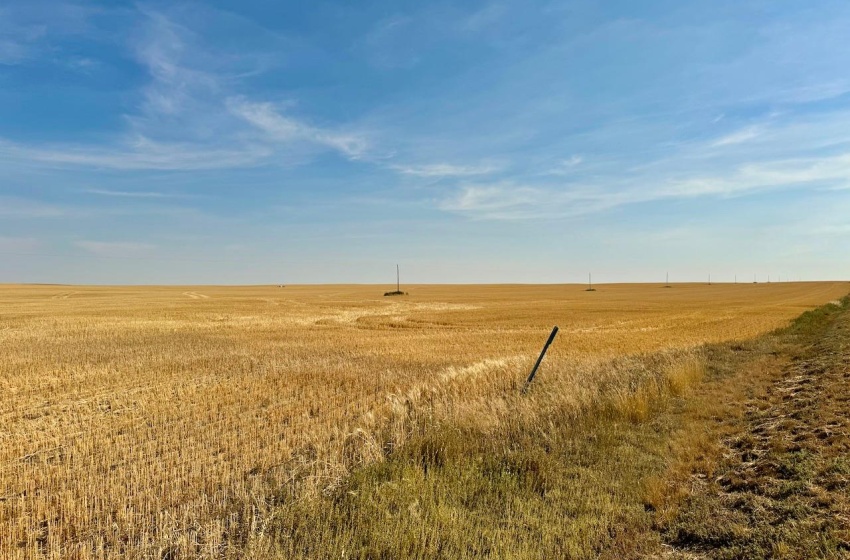 Rural Address, Miry Creek Rm No. 229, Saskatchewan S0N 2L0, ,Farm,For Sale,Shackleton 1,941 acres Grain Farmland (Northeast),Rural Address,SK983901