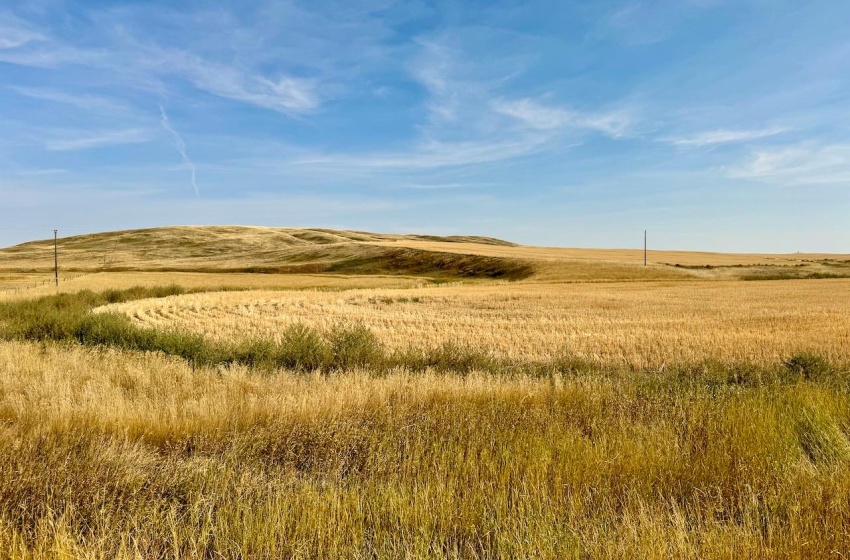 Rural Address, Miry Creek Rm No. 229, Saskatchewan S0N 2L0, ,Farm,For Sale,Shackleton 1,941 acres Grain Farmland (Northeast),Rural Address,SK983901