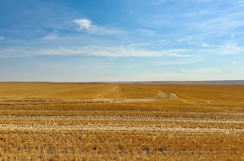 Rural Address, Miry Creek Rm No. 229, Saskatchewan S0N 2L0, ,Farm,For Sale,Shackleton 1,941 acres Grain Farmland (Northeast),Rural Address,SK983901