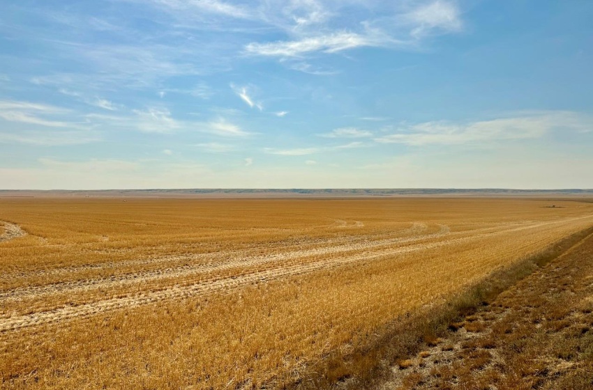 Rural Address, Miry Creek Rm No. 229, Saskatchewan S0N 2L0, ,Farm,For Sale,Shackleton 1,941 acres Grain Farmland (Northeast),Rural Address,SK983901