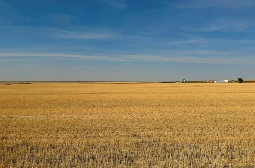 Rural Address, Miry Creek Rm No. 229, Saskatchewan S0N 2L0, ,Farm,For Sale,Shackleton 1,941 acres Grain Farmland (Northeast),Rural Address,SK983901