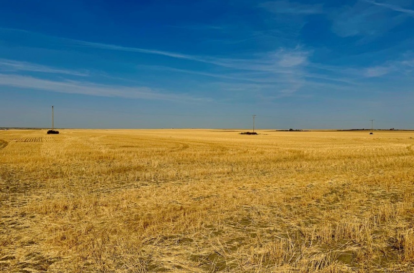 Rural Address, Miry Creek Rm No. 229, Saskatchewan S0N 2L0, ,Farm,For Sale,Shackleton 1,941 acres Grain Farmland (Northeast),Rural Address,SK983901