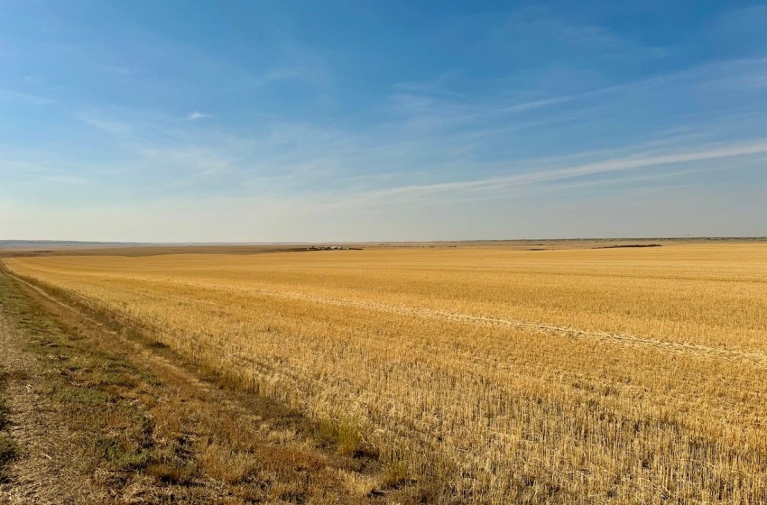 Rural Address, Miry Creek Rm No. 229, Saskatchewan S0N 2L0, ,Farm,For Sale,Shackleton 1,941 acres Grain Farmland (Northeast),Rural Address,SK983901