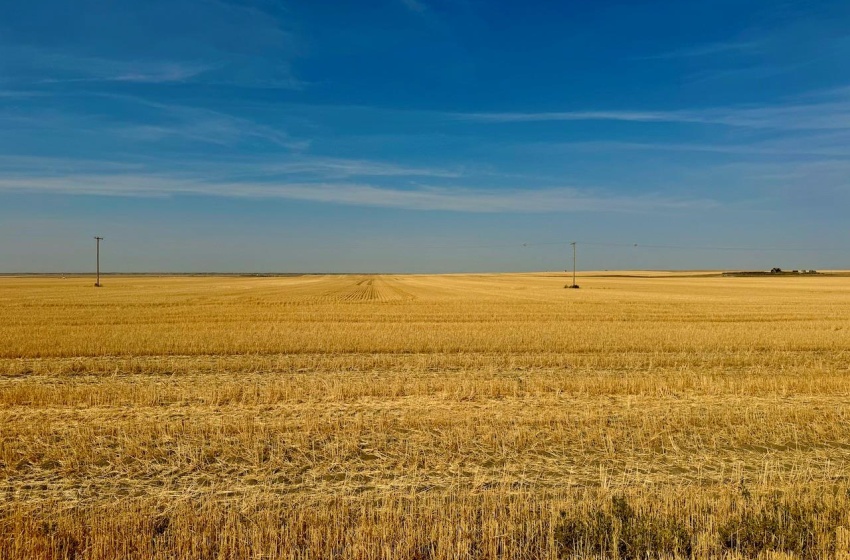 Rural Address, Miry Creek Rm No. 229, Saskatchewan S0N 2L0, ,Farm,For Sale,Shackleton 1,941 acres Grain Farmland (Northeast),Rural Address,SK983901