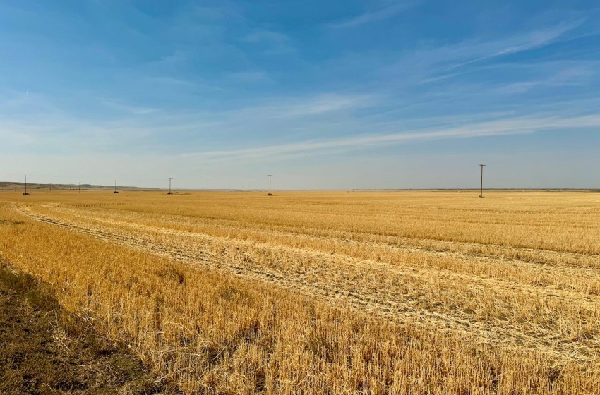 Rural Address, Miry Creek Rm No. 229, Saskatchewan S0N 2L0, ,Farm,For Sale,Shackleton 1,941 acres Grain Farmland (Northeast),Rural Address,SK983901