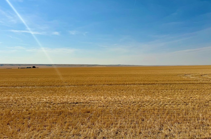 Rural Address, Miry Creek Rm No. 229, Saskatchewan S0N 2L0, ,Farm,For Sale,Shackleton 1,941 acres Grain Farmland (Northeast),Rural Address,SK983901