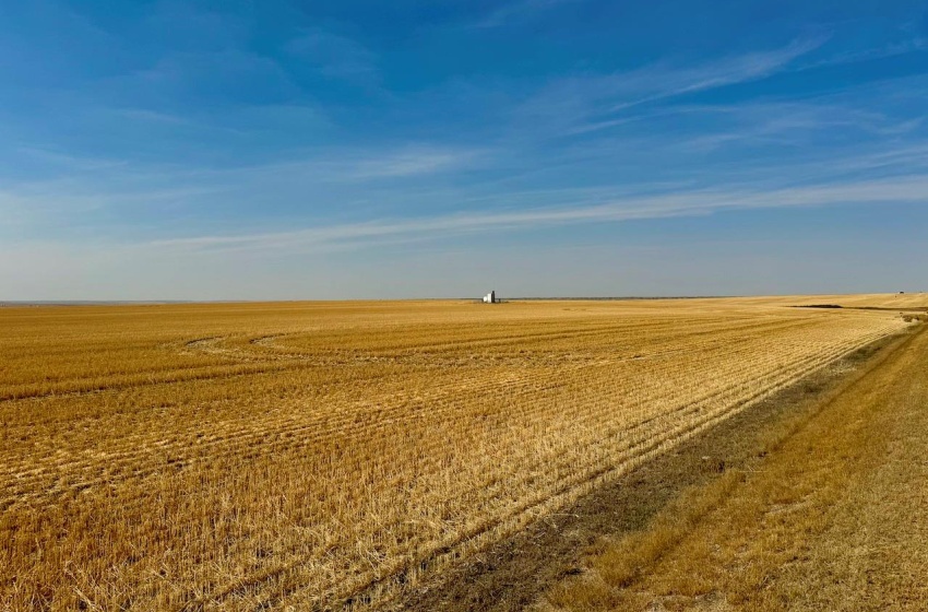 Rural Address, Miry Creek Rm No. 229, Saskatchewan S0N 2L0, ,Farm,For Sale,Shackleton 1,941 acres Grain Farmland (Northeast),Rural Address,SK983901