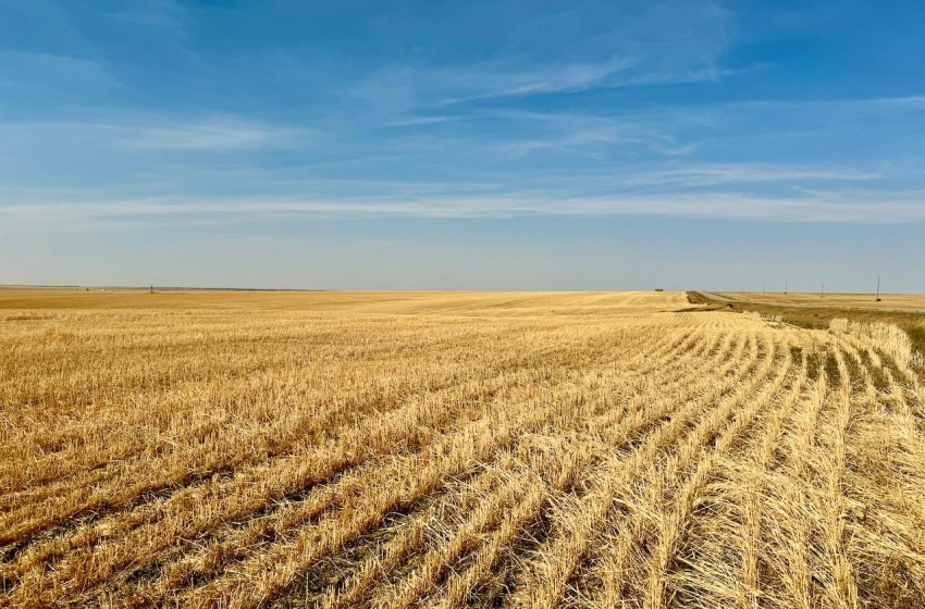 Rural Address, Miry Creek Rm No. 229, Saskatchewan S0N 2L0, ,Farm,For Sale,Shackleton 1,941 acres Grain Farmland (Northeast),Rural Address,SK983901