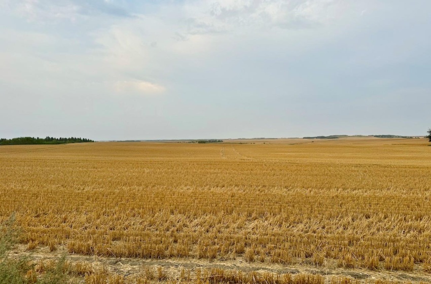 Rural Address, Golden West Rm No. 95, Saskatchewan S0G 0X0, 3 Bedrooms Bedrooms, ,1 BathroomBathrooms,Farm,For Sale,Creelman 2,456 Acres Grain Farmland,Rural Address,SK984277