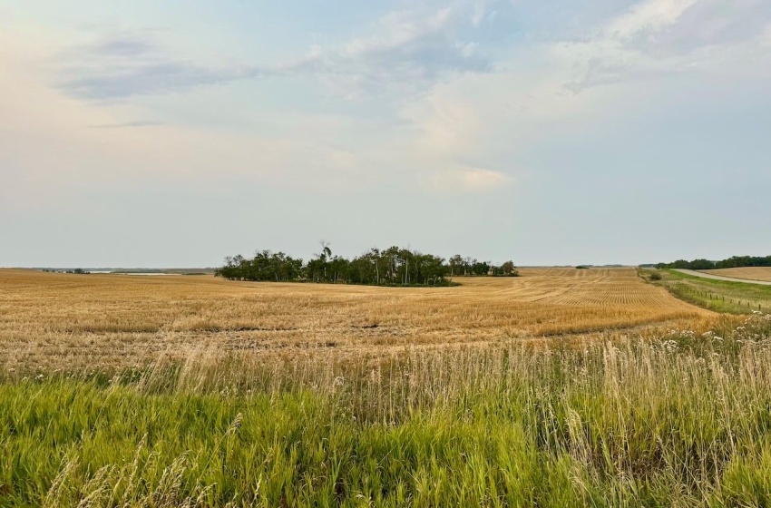 Rural Address, Golden West Rm No. 95, Saskatchewan S0G 0X0, 3 Bedrooms Bedrooms, ,1 BathroomBathrooms,Farm,For Sale,Creelman 2,456 Acres Grain Farmland,Rural Address,SK984277