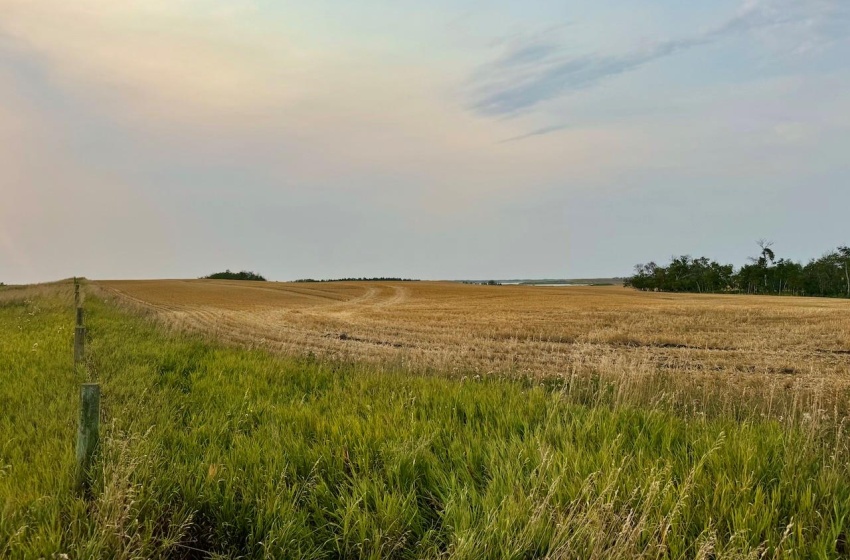 Rural Address, Golden West Rm No. 95, Saskatchewan S0G 0X0, 3 Bedrooms Bedrooms, ,1 BathroomBathrooms,Farm,For Sale,Creelman 2,456 Acres Grain Farmland,Rural Address,SK984277