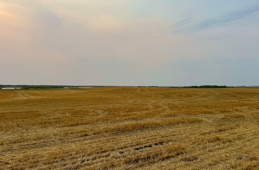 Rural Address, Golden West Rm No. 95, Saskatchewan S0G 0X0, 3 Bedrooms Bedrooms, ,1 BathroomBathrooms,Farm,For Sale,Creelman 2,456 Acres Grain Farmland,Rural Address,SK984277