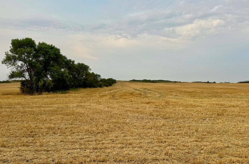 Rural Address, Golden West Rm No. 95, Saskatchewan S0G 0X0, 3 Bedrooms Bedrooms, ,1 BathroomBathrooms,Farm,For Sale,Creelman 2,456 Acres Grain Farmland,Rural Address,SK984277