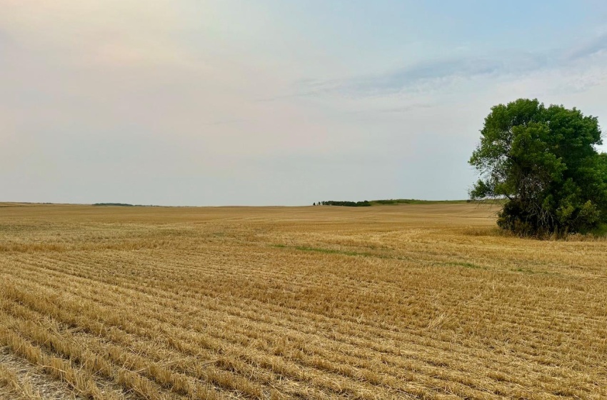 Rural Address, Golden West Rm No. 95, Saskatchewan S0G 0X0, 3 Bedrooms Bedrooms, ,1 BathroomBathrooms,Farm,For Sale,Creelman 2,456 Acres Grain Farmland,Rural Address,SK984277