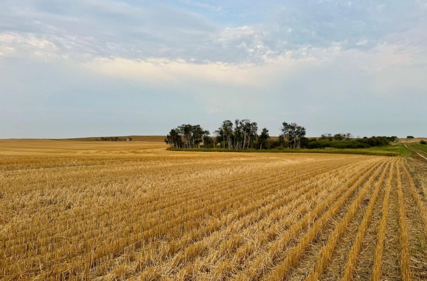 Rural Address, Golden West Rm No. 95, Saskatchewan S0G 0X0, 3 Bedrooms Bedrooms, ,1 BathroomBathrooms,Farm,For Sale,Creelman 2,456 Acres Grain Farmland,Rural Address,SK984277