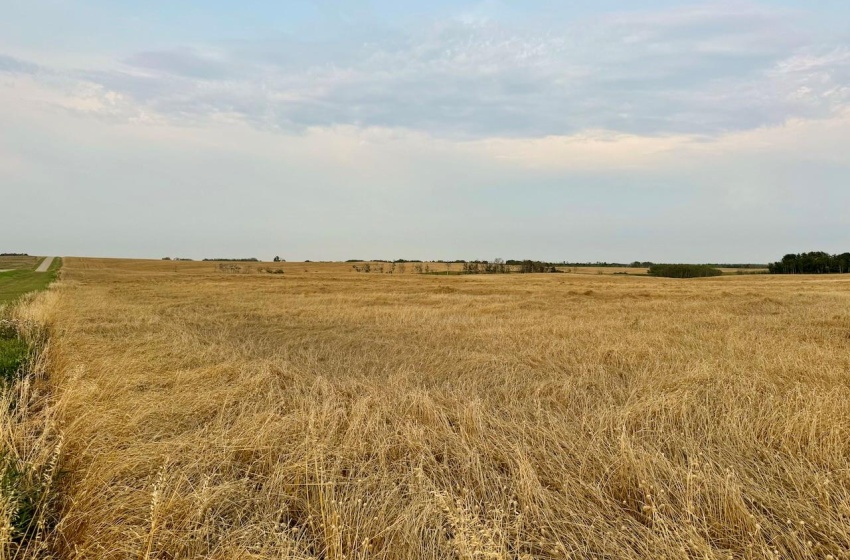 Rural Address, Golden West Rm No. 95, Saskatchewan S0G 0X0, 3 Bedrooms Bedrooms, ,1 BathroomBathrooms,Farm,For Sale,Creelman 2,456 Acres Grain Farmland,Rural Address,SK984277