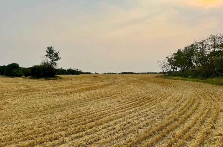 Rural Address, Golden West Rm No. 95, Saskatchewan S0G 0X0, 3 Bedrooms Bedrooms, ,1 BathroomBathrooms,Farm,For Sale,Creelman 2,456 Acres Grain Farmland,Rural Address,SK984277