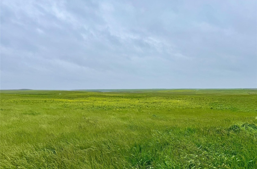 Rural Address, Mount Hope Rm No. 279, Saskatchewan S0G 0B5, ,Farm,For Sale,DUC Bhanji Land - 134.94 Acres (Nokomis),Rural Address,SK984442