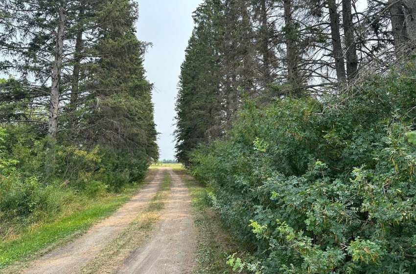 Rural Address, Hudson Bay Rm No. 394, Saskatchewan S0E 0Y0, 2 Bedrooms Bedrooms, 12 Rooms Rooms,2 BathroomsBathrooms,Acreage,For Sale,Temple Land 