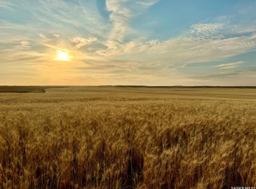 Rural Address, Monet Rm No. 257, Saskatchewan S0L 0B3, ,Farm,For Sale,Elrose 1,030 Acres of Grain Farmland,Rural Address,SK984644