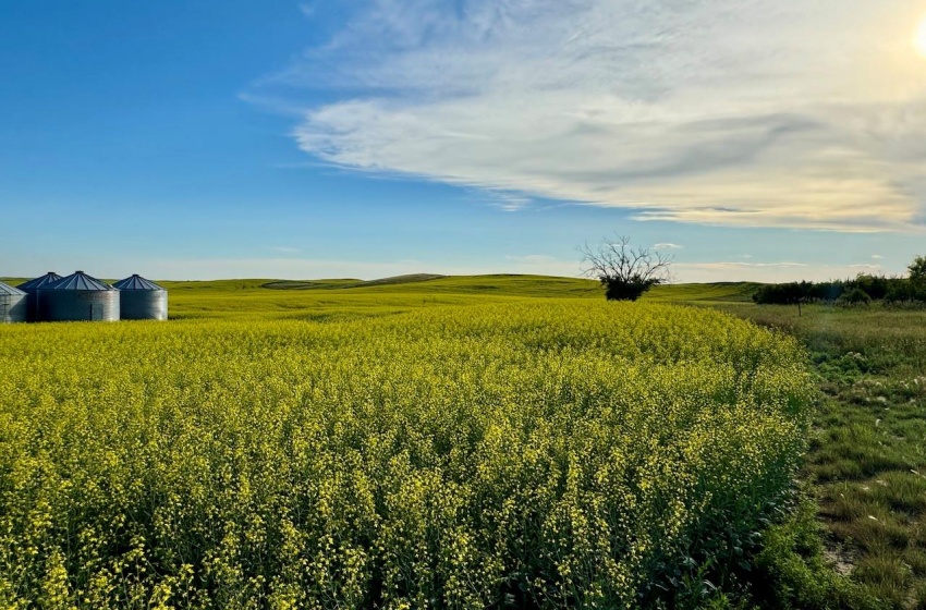 Rural Address, Pleasant Valley Rm No. 288, Saskatchewan S0L 2V0, ,Farm,For Sale,McGee 1,120 acres Grain Farmland,Rural Address,SK984648