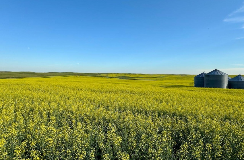 Rural Address, Pleasant Valley Rm No. 288, Saskatchewan S0L 2V0, ,Farm,For Sale,McGee 1,120 acres Grain Farmland,Rural Address,SK984648