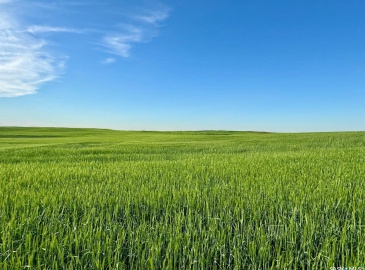 Rural Address, Pleasant Valley Rm No. 288, Saskatchewan S0L 2V0, ,Farm,For Sale,McGee 1,120 acres Grain Farmland,Rural Address,SK984648