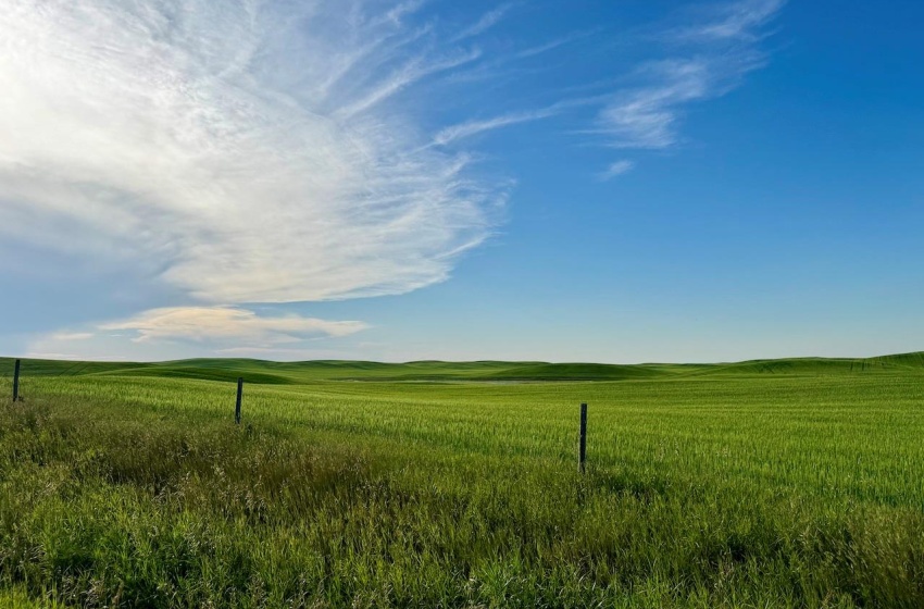 Rural Address, Pleasant Valley Rm No. 288, Saskatchewan S0L 2V0, ,Farm,For Sale,McGee 1,120 acres Grain Farmland,Rural Address,SK984648