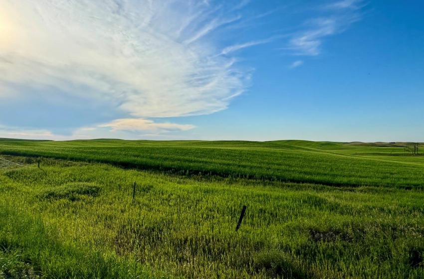 Rural Address, Pleasant Valley Rm No. 288, Saskatchewan S0L 2V0, ,Farm,For Sale,McGee 1,120 acres Grain Farmland,Rural Address,SK984648