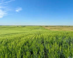 Rural Address, Pleasant Valley Rm No. 288, Saskatchewan S0L 0B6, ,Farm,For Sale,McGee 321 acres Grain Farmland,Rural Address,SK984741