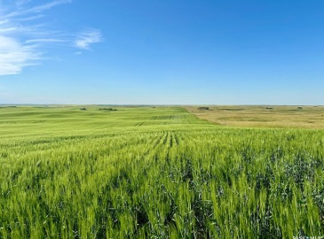 Rural Address, Pleasant Valley Rm No. 288, Saskatchewan S0L 0B6, ,Farm,For Sale,McGee 321 acres Grain Farmland,Rural Address,SK984741