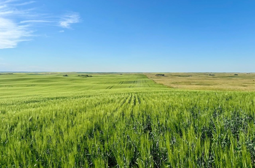 Rural Address, Pleasant Valley Rm No. 288, Saskatchewan S0L 0B6, ,Farm,For Sale,McGee 321 acres Grain Farmland,Rural Address,SK984741