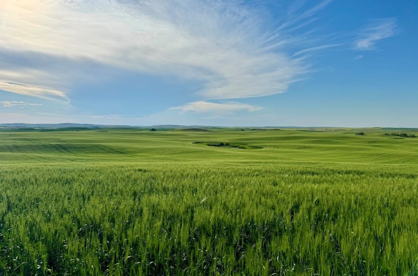 Rural Address, Pleasant Valley Rm No. 288, Saskatchewan S0L 0B6, ,Farm,For Sale,McGee 321 acres Grain Farmland,Rural Address,SK984741