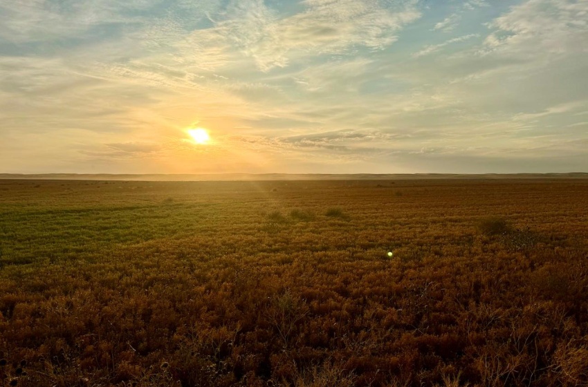 Rural Address, Pleasant Valley Rm No. 288, Saskatchewan S0L 0B3, ,Farm,For Sale,Elrose 2,084 acres Grain Farmland,Rural Address,SK984758