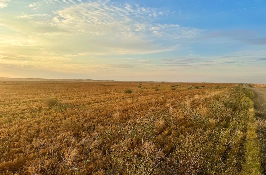 Rural Address, Pleasant Valley Rm No. 288, Saskatchewan S0L 0B3, ,Farm,For Sale,Elrose 2,084 acres Grain Farmland,Rural Address,SK984758