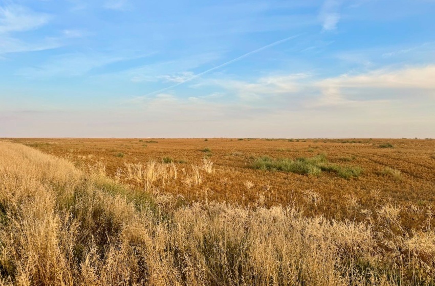 Rural Address, Pleasant Valley Rm No. 288, Saskatchewan S0L 0B3, ,Farm,For Sale,Elrose 2,084 acres Grain Farmland,Rural Address,SK984758