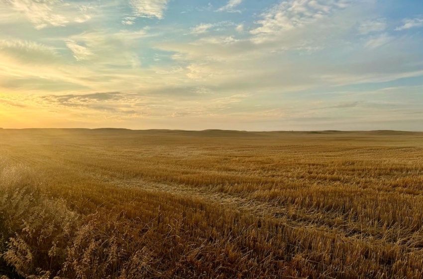 Rural Address, Pleasant Valley Rm No. 288, Saskatchewan S0L 0B3, ,Farm,For Sale,Elrose 2,084 acres Grain Farmland,Rural Address,SK984758