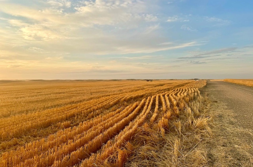 Rural Address, Pleasant Valley Rm No. 288, Saskatchewan S0L 0B3, ,Farm,For Sale,Elrose 2,084 acres Grain Farmland,Rural Address,SK984758