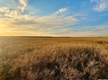 Rural Address, Pleasant Valley Rm No. 288, Saskatchewan S0L 0B3, ,Farm,For Sale,Elrose 2,084 acres Grain Farmland,Rural Address,SK984758