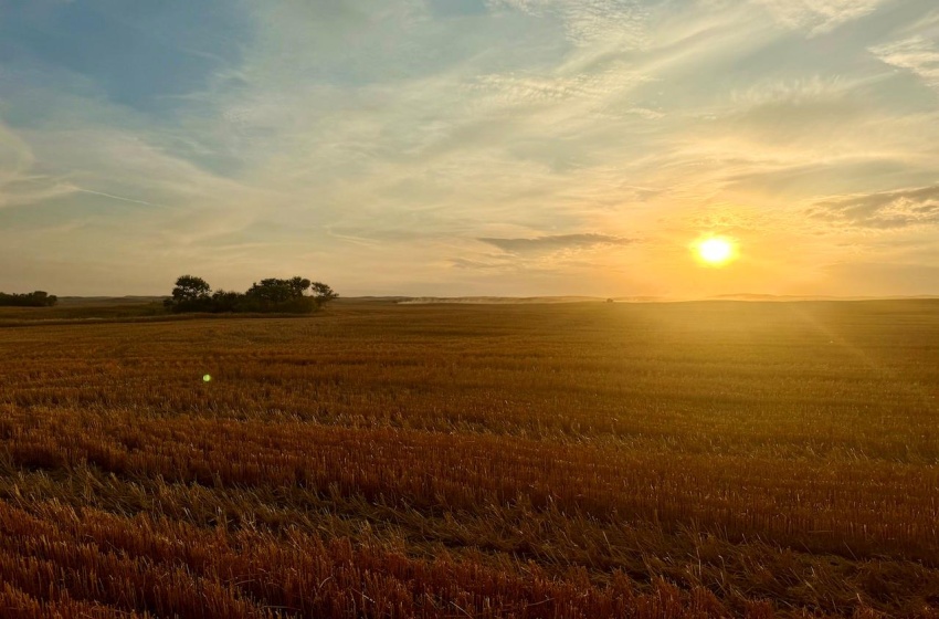 Rural Address, Pleasant Valley Rm No. 288, Saskatchewan S0L 0B3, ,Farm,For Sale,Elrose 2,084 acres Grain Farmland,Rural Address,SK984758