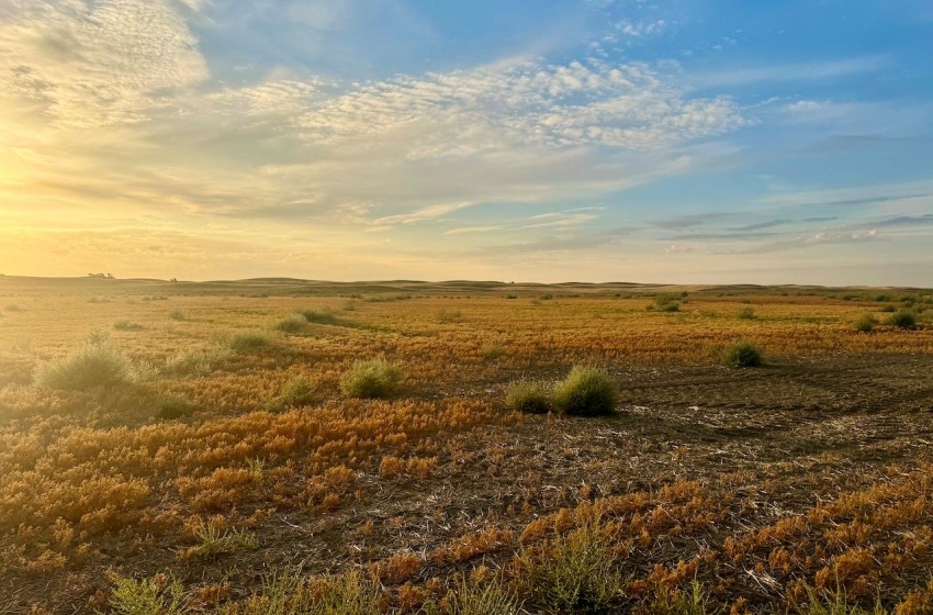 Rural Address, Pleasant Valley Rm No. 288, Saskatchewan S0L 0B3, ,Farm,For Sale,Elrose 2,084 acres Grain Farmland,Rural Address,SK984758