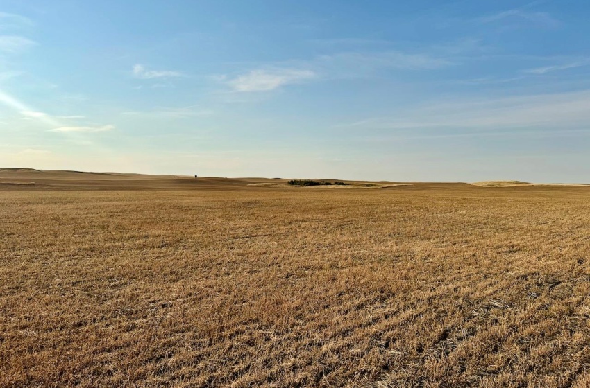 Rural Address, Snipe Lake Rm No. 259, Saskatchewan S0L 0B3, ,Farm,For Sale,Wartime West 1,118 acres Grain Farmland,Rural Address,SK984767